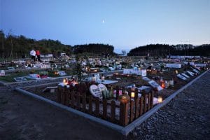 Cmentarz dla zwierząt Za Tęczowym Mostem w Szczecinie, zdjęcie 5
