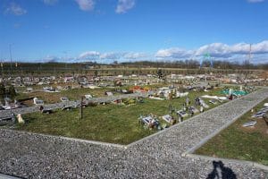 Cmentarz dla zwierząt Za Tęczowym Mostem w Szczecinie, zdjęcie 8