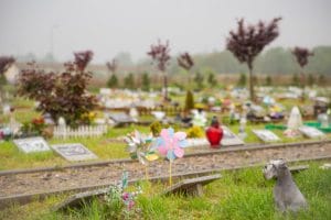 Cmentarz dla zwierząt Za Tęczowym Mostem w Szczecinie, zdjęcie 6